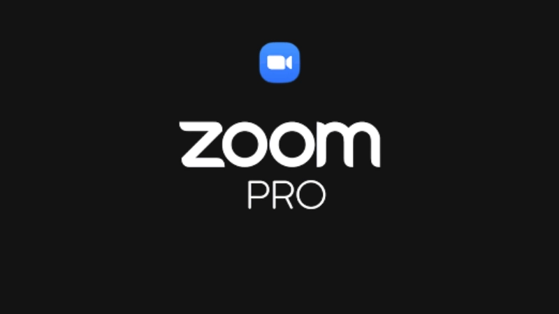 Zoom Pro (100 users)